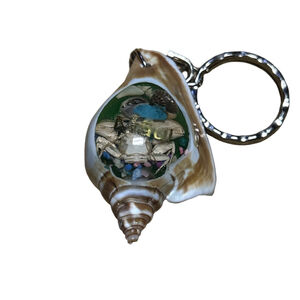 Seashell Keychain Unbranded Brown White One Size